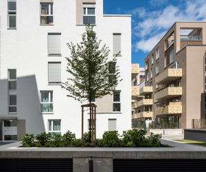 Belle Vie - Hachestraße