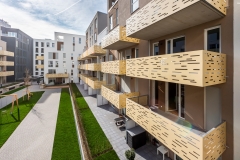 ARSATEC_2020_011-Andere