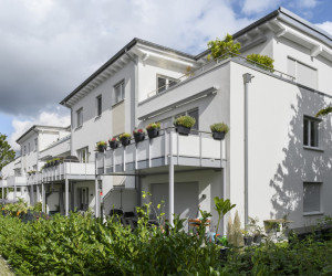 Höhmanns Siepen