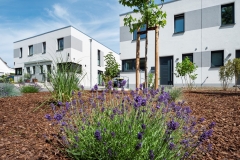Raadter_Strasse_355_19-Andere