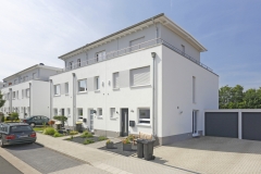 Recent Life - Breloher Steig