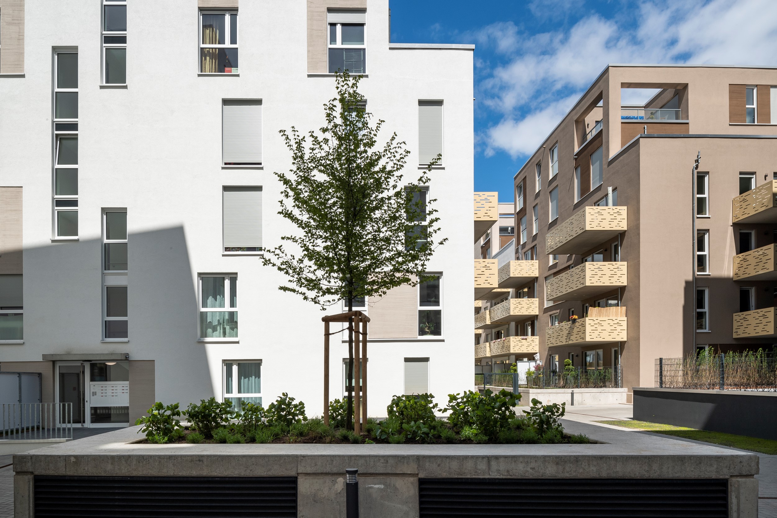 BelleVie - Hachestraße